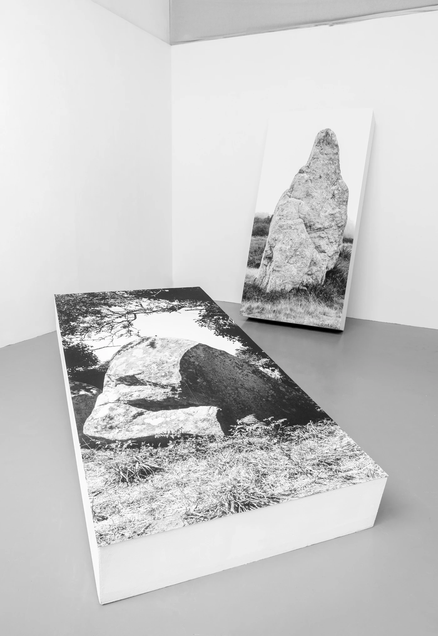 Altar, 2020, with Émilie Heddebeaux. Installation view.