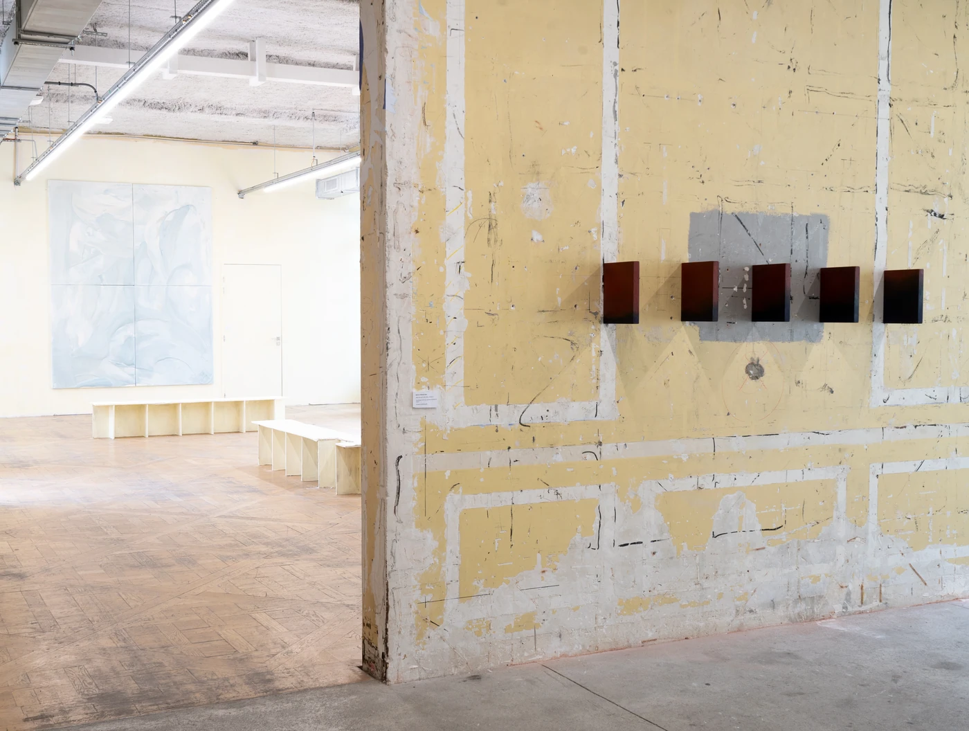 Installation view.